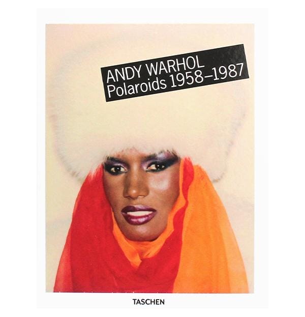 Pohliad heniia: portrety Endi Vorhola zobrazhennia 5