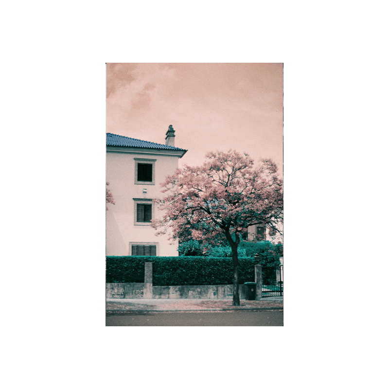 LomoChrome Turquoise_03 LomoChrome Turquoise 03