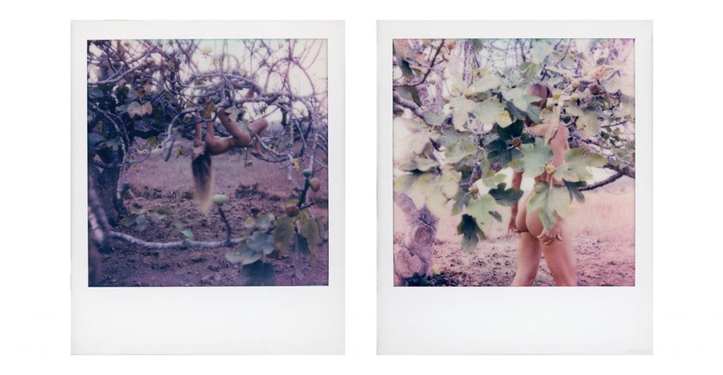 Вихід із тіні в дзеркало свободи: історія автопортретів Ельміри