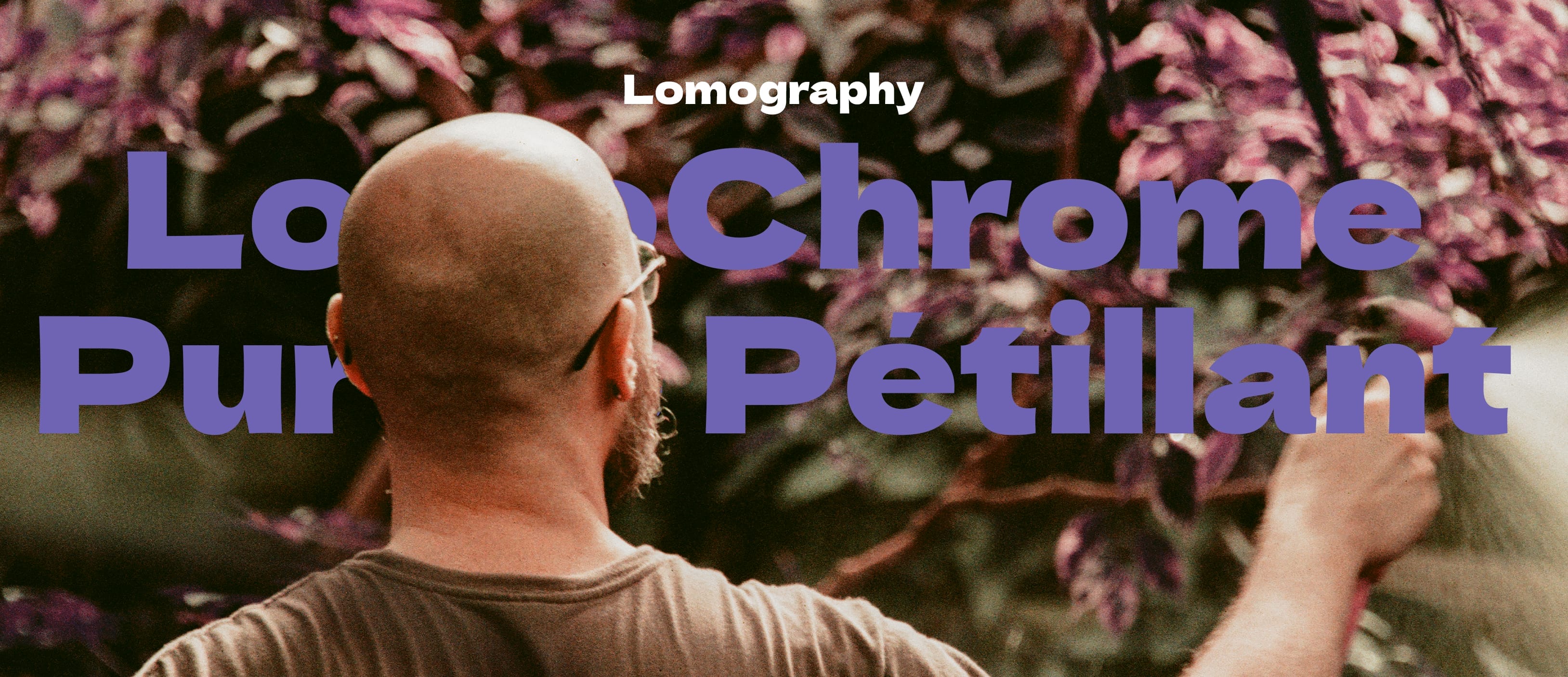 lomo purple