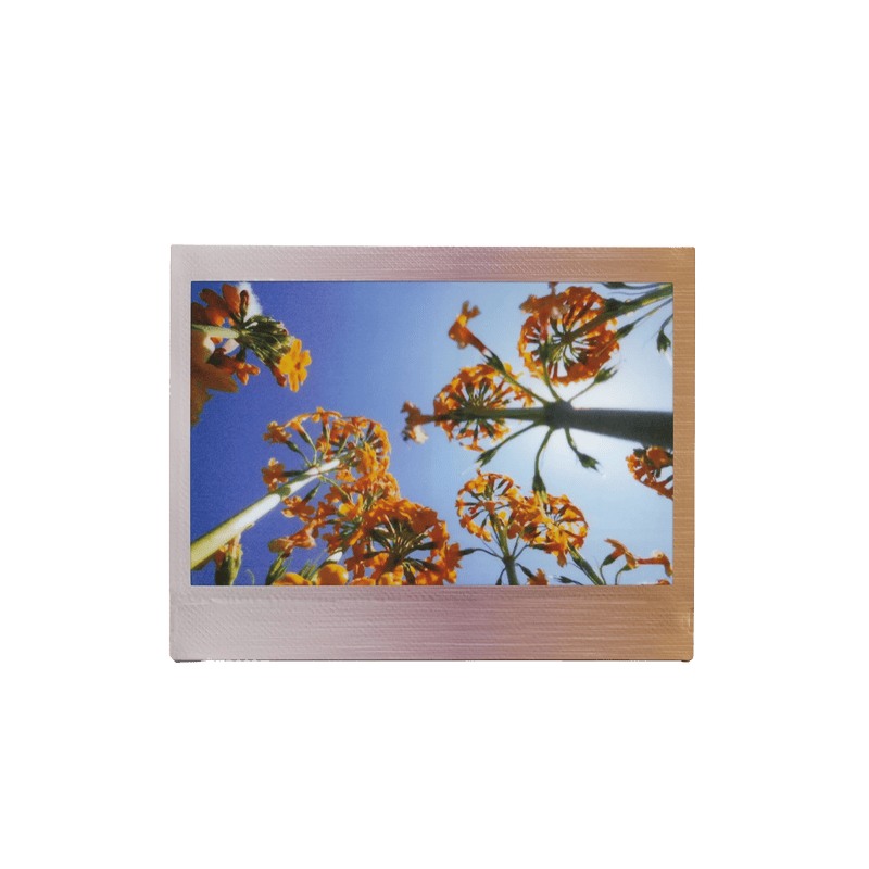 instax wide brushed metallics_4 instax wide brushed metallics 4